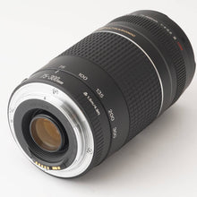 画像をギャラリービューアに読み込む, キヤノン Canon ZOOM LENS 75-300mm F4-5.6 III USM