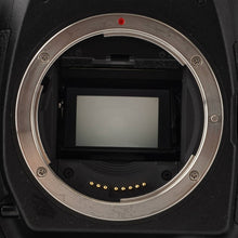 画像をギャラリービューアに読み込む, キヤノン Canon EOS-1D Mark II デジタル一眼レフカメラ