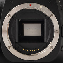 画像をギャラリービューアに読み込む, キヤノン Canon EOS 30D デジタル一眼レフカメラ / Canon ZOOM LENS EF-S 18-55mm F3.5-5.6 USM