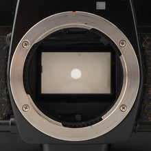 画像をギャラリービューアに読み込む, コンタックス Contax 137 MD QUARTZ 35mm一眼レフフィルムカメラ