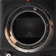 画像をギャラリービューアに読み込む, マミヤ Mamiya RZ67 PROFESSIONAL / MAMIYA-SEKOR Z 110mm F2.8