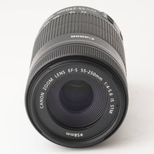画像をギャラリービューアに読み込む, キヤノン Canon ZOOM LENS EF S 55-250mm F4-5.6 IS STM