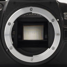 画像をギャラリービューアに読み込む, ニコン Nikon D40X / AF-S DX NIKKOR 55-200mm F4-5.6 G ED VR デジタル一眼レフカメラ