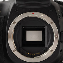 画像をギャラリービューアに読み込む, キヤノン Canon EOS 20D / Canon ZOOM LENS EF 35-70mm F3.5-4.5