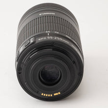 画像をギャラリービューアに読み込む, キヤノン Canon EF-S 55-250mm F4-5.6 IS STM