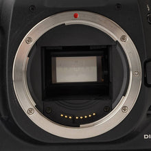 画像をギャラリービューアに読み込む, キヤノン Canon EOS 10D ボディ / BG ED3 バッテリーグリップ付き デジタル一眼レフカメラ