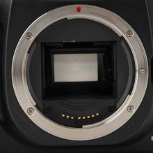 画像をギャラリービューアに読み込む, キヤノン Canon EOS 10D / Canon Zoom Lens EF 55-200mm f/4.5-5.6 II USM