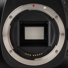 画像をギャラリービューアに読み込む, キヤノン Canon EOS 30D / ZOOM EF 28-105mm F3.5-4.5