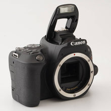 画像をギャラリービューアに読み込む, キヤノン Canon EOS Kiss X9 / EF S 18-55mm F4-5.6 IS STM / EF S 55-250mm F4-5.6 IS STM