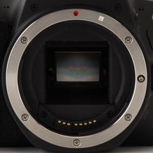 画像をギャラリービューアに読み込む, キヤノン Canon EOS Kiss X9 / EF S 18-55mm F4-5.6 IS STM / EF S 55-250mm F4-5.6 IS STM