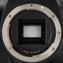 画像をギャラリービューアに読み込む, キヤノン Canon EOS Kiss X4 / EF-S 18-135mm F3.5-5.6 IS