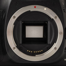 画像をギャラリービューアに読み込む, キヤノン Canon EOS 20D / Canon ZOOM LENS EF 28-105mm F3.5-4.5 USM