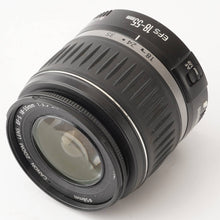 画像をギャラリービューアに読み込む, キヤノン Canon EOS Kiss Digital X / EF-S 18-55mm F3.5-5.6 II USM