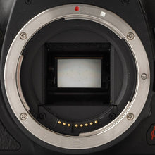 画像をギャラリービューアに読み込む, キヤノン Canon EOS Kiss X3 / Canon ZOOM LENS EF-S 28-90mm F4-5.6 III