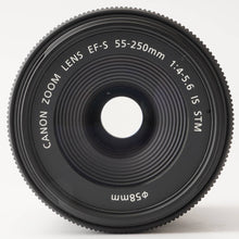 画像をギャラリービューアに読み込む, キヤノン Canon ZOOM LENS EF-S 55-250mm F4-5.6 IS STM