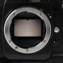 画像をギャラリービューアに読み込む, ニコン Nikon F4S / マルチコントロールバック MF-23 / バッテリーパック MB-21