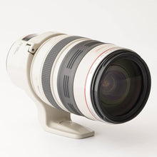 画像をギャラリービューアに読み込む, キヤノン Canon ZOOM LENS EF 28-300mm F3.5-5.6 L IS USM