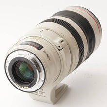 画像をギャラリービューアに読み込む, キヤノン Canon ZOOM LENS EF 28-300mm F3.5-5.6 L IS USM