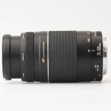 画像をギャラリービューアに読み込む, キヤノン Canon ZOOM LENS 75-300mm F4-5.6 III USM