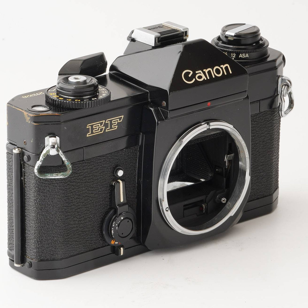 キヤノン Canon EF ボディ 35mm フィルム一眼レフカメラ – Natural