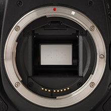 画像をギャラリービューアに読み込む, キヤノン Canon EOS 50D / EF-S 18-200mm F3.5-5.6 IS