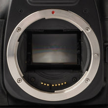 画像をギャラリービューアに読み込む, キヤノン Canon EOS 7 ボディ / バッテリーパック BP-300 / EF 75-300mm F4-5.6 II