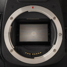 画像をギャラリービューアに読み込む, キヤノン Canon EOS 7S Body 35mm 一眼レフフィルムカメラ