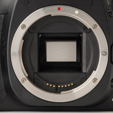 画像をギャラリービューアに読み込む, キヤノン Canon EOS 20D ボディ デジタル一眼レフカメラ