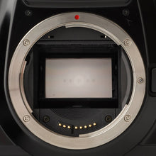 画像をギャラリービューアに読み込む, キヤノン Canon EOS 5 / EF 55-200mm F4.5-5.6 II USM