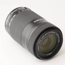 画像をギャラリービューアに読み込む, キヤノン Canon EF-S 55-250mm F4-5.6 IS STM