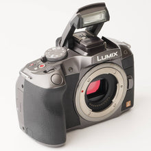 画像をギャラリービューアに読み込む, パナソニック Panasonic LUMIX DMC-G6 / G Vario 45-200mm F4-5.6 MEGA O.I.S