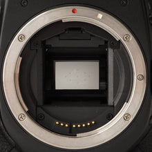 画像をギャラリービューアに読み込む, キヤノン Canon EOS 40D / EF-S 18-55mm F3.5-5.6 IS