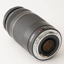 画像をギャラリービューアに読み込む, キヤノン Canon Zoom EF 75-300mm F4-5.6 II