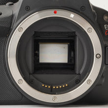 画像をギャラリービューアに読み込む, キヤノン Canon EOS Kiss X7 / EF 50mm F1.8 STM