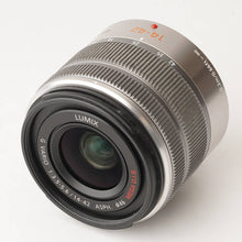 画像をギャラリービューアに読み込む, パナソニック Panasonic LUMIX DMC-GF6 / G VARIO 14-42mm F3.5-5.6 ASPH