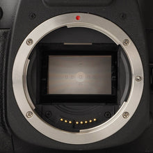 画像をギャラリービューアに読み込む, キヤノン Canon EOS 7s Body 35mm SLR Film Camera