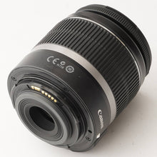 画像をギャラリービューアに読み込む, キヤノン Canon EOS 50D / EF-S 18-55mm F3.5-5.6 IS