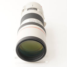 画像をギャラリービューアに読み込む, キヤノン Canon EF 300mm F4 L USM