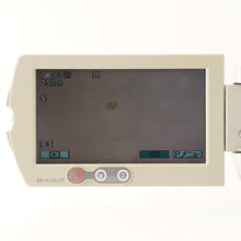 Load image into Gallery viewer, Sony HANDYCAM DCR-DVD505