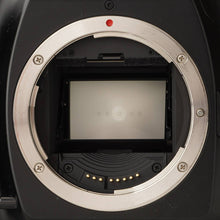 画像をギャラリービューアに読み込む, キヤノン Canon EOS-1N ボディ 35mm 一眼レフ フィルムカメラ
