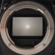 画像をギャラリービューアに読み込む, ミノルタ Minolta X-700 MPS 35mm 一眼レフフィルムカメラ