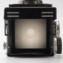 画像をギャラリービューアに読み込む, リコー Ricoh DIACORD / Rikenon 80mm F3.5