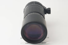 画像をギャラリービューアに読み込む, シグマ Sigma APO TELE MACRO 300mm F4 D ニコン Fマウント