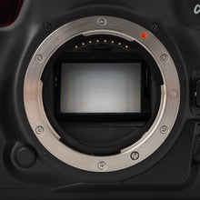 画像をギャラリービューアに読み込む, ミノルタ Minoltaα-9 / AF ZOOM 24-85mm F3.5-4.5