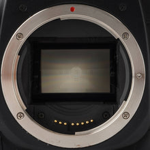 画像をギャラリービューアに読み込む, キヤノン Canon EOS 7 35mm 一眼レフフィルムカメラ
