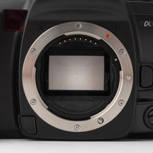 画像をギャラリービューアに読み込む, ミノルタ Minolta α-7 / Minolta AF ZOOM 24-105mm F3.5-4.5 D ソニー Sony Aマウント