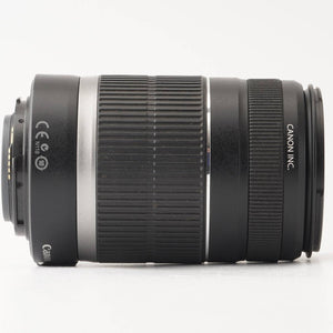 Canon EF-S 55-250mm f/4-5.6 IS