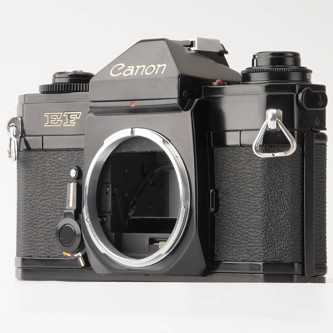 Canon EF body 35mm SLR Film Camera