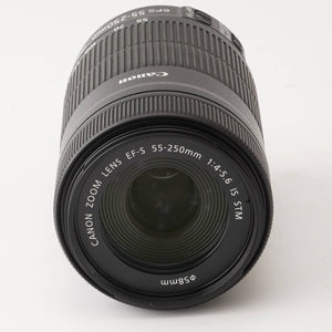 Canon EF-S 55-250mm f/4-5.6 IS STM