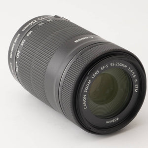 Canon EF-S 55-250mm f/4-5.6 IS STM